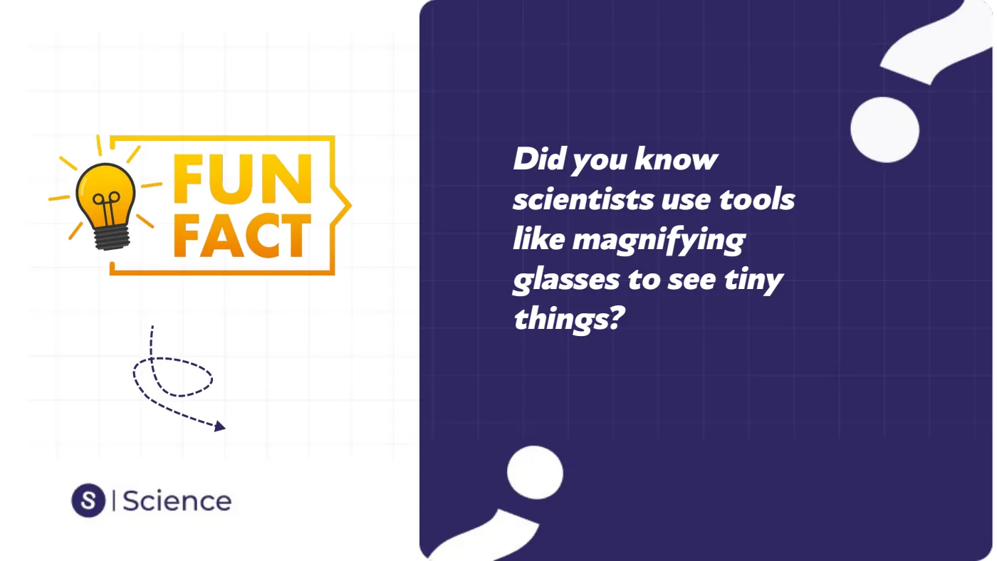 Introduction to Science Skills — page 5 of 28